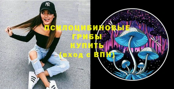 дживик Беломорск