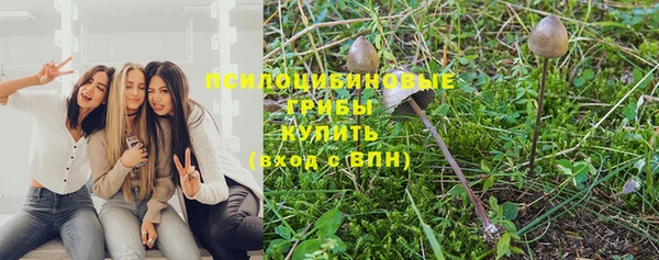 дживик Беломорск